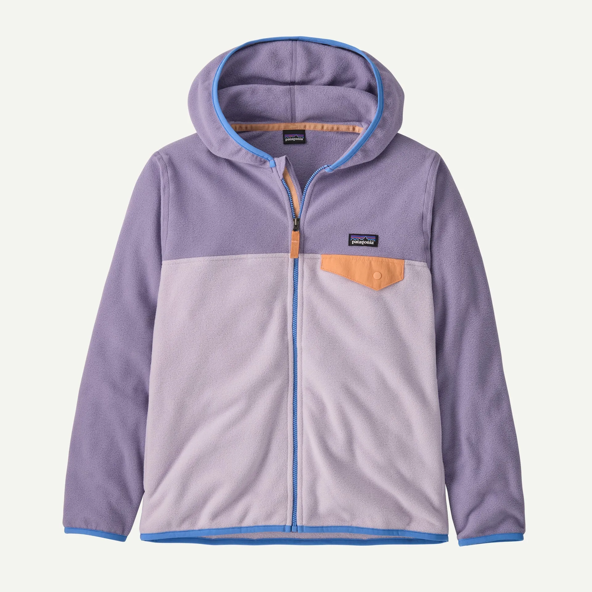 Patagonia Kid's Micro D Snap-T Jacket